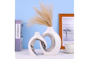 XIAOMAGG Set Di 2 Vasi In Ceramica, Arredamento Moderno Bohémien, Matrimonio, Tavolo Da Pranzo, Banchetto, Soggiorno, Ufficio, Camera Da Letto, Bagno, Davanzale，Vaso decorativo (Argento bianco)