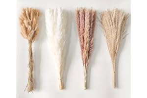 Comtelek 110 Stück Pampas Grass Pampasgras Getrocknet Natürliche Trockenblumen Getrockneten Blumen Trockenblumen Deko Pampasgras deko für Boho Deko Wohnzimmer Blumen Arrangements Tischdeko Hochzeit