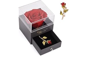 NOCIHCASS Eternal Rose Preserved Flower with Rose Brooch Gift Box, Handmade Real Rose Romantic Birthday Presents for Her Mum Girlfriend Gramma on Valentine's Day Mother's Day Wedding Anniversary Christmas - Red