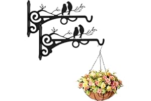 KODIVENJ 2 Packs of Hanging Basket Bracket, 8 Inch Heavy Duty Hanging Bracket Outdoor Plant Hanger Wall Hooks, Iron Plant Hanger Metal Plant Hangers Outdoor for Garden, Planter, Bird Feeder, Wind Chimes