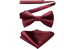 HISDERN Papillon da Uomo e Fazzoletto da matrimonio - già annodato e regolabile papillon formale colore solido set