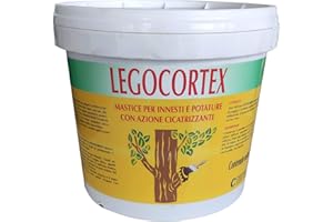 YAOFANG mastice guarigione protezione montanti piante