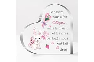 FCZIVA Collègue Amie Acrylique Plaque Coeur Ornements Femmes Cadeaux D’anniversaire Bureau Signes Amitié Apprécier Noël Retraite Adieu Présent Décoration Maison Souvenirs Mignon Lapin Design