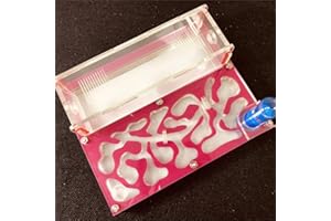 ANT GRAPE Formicario educativo per formiche vive, provetta per formiche vive, grande spazio, in acrilico, formicarie, insetti, casa, formiche, officine ecologiche (rosa)