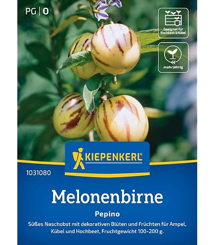 Kiepenkerl Profi-Line Zuckermelonensamen Stellio - Charentais Melone Süß-aromatisch Für Einfachen Anbau