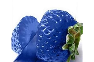 REMORUI 100 Piezas Semillas Fresas, Semillas Huerto, Semillas de Fresa Para Jardín, patio, granja, balcón delicioso, bonsái, Semillas de Frutas (Azul)