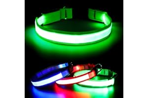 Visinite LED Dog Collar USB Rechargeable, Reflective Light Up Pet Collar for Night Walking, Adjustable Glow Collar for Small Medium Large Dogs (Green, M)