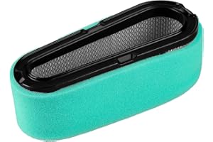 LOCOPOW Filtri aria per 493910 691667 Briggs & Stratton 194702 194706 194707 195702 195703 195706 195707 196702 196706 motore verticale con prefiltro