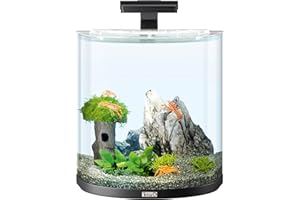 Tetra Explorer Line 30 L Aquarium Komplett-Set - Design Aquarium mit gebogener Frontscheibe, LED-Beleuchtung, Technik, Futter und Pflegemitteln, Farbe: Schwarz