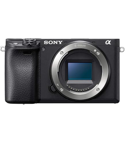 Sony ILCE6300LB Compact System Camera with SELP1650 Power Zoom