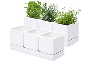D'vine Dev Herb Garden Planter Set, Plastic Plant Pots with Drainage and Saucer, Indoor Succulent Cactus Vegetable Pot for Windowsill, Garden Balcony, White, Set of 2, 76-V-A-2