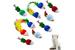 JUGNAW Set de 10 Juguetes Interactivos Gato con Ratones de Felpa y Cola de Pluma, Colores Variados, Estimulación y Ejercicio, Material Seguro y Duradero, Muy Adecuado para Uso en Interiores