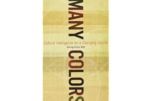 Many Colours: Cultural Intelligence for a Changing Church