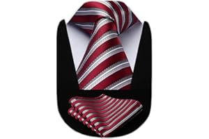 HISDERN Corbatas de Hombre Modernas Corbata Extra Larga Conjunto Corbata y Pañuelo Originales de Boda Fiesta 160 cm