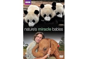 Nature's Miracle Babies [Reino Unido] [DVD]
