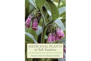Medicinal Plants in Folk Tradition: An Ethnobotany of Britain & Ireland