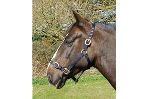 Rhinegold Nylon Headcollar - Full - Navy