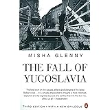 The Fall of Yugoslavia