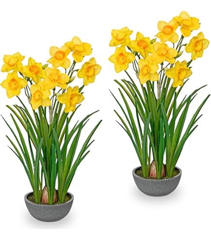 knstliche dipladenia Dipladenia Rot kaufen