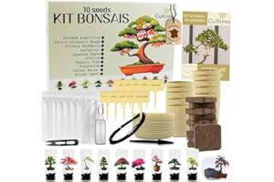 CULTIVEA® Kit Prêt à Pousser 10 Bonsai – Coffret Complet avec Graines, Pots, Outils & Notice – Kit Plantation Intérieure Facile – Idée Cadeau Jardinage | Made In France