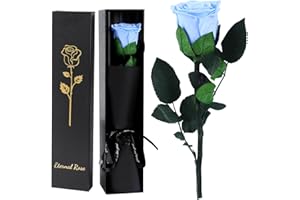 FRFG Rosa Eterna, Rosa Natural Preservada con Tallo Regalos para Mujer, Regalo de Cumpleaños de Aniversario Dia de la Madre Dia de San Valentín para Mamá Novia Mujeres (Azul Claro)