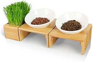 KYONANO Katzennapf, Keramik Futternapf Katze mit DREI Schale für Katzengras o. Futter, Katzennapf erhöht mit Bambusrahmen, Futterstation Katzen Napfset, Fressnapf Futterbar für Hund Katzen
