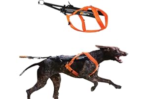 Non-stop dogwear Freemotion uprząż 5.0, do uprawiania sportu, takiego jak bieganie, jazda na rowerze i jazda na nartach z psami, profesjonalna regulowana uprząż dla psa, pomarańczowa/czarna, rozmiar 7
