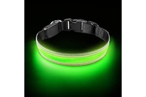 PetIsay Ultimate LED Dog Collar - USB C Rechargeable with Water Resistant - Reflective Light up Dog Collar Flashing Light - Adding Safety to Night-time Walks - 3 Colours, 3 Sizes(Neon Green, Medium)