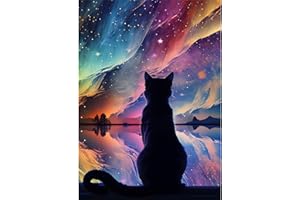 EOBROMD 5D Diamond Painting Kit Completo Gatto, Cielo Stellato Pittura Diamante FAI DA TE, Diamond Painting Bambini Adulti, Strass Ricamo a Punto Croce Painting Decorazione per Casa 30x40cm