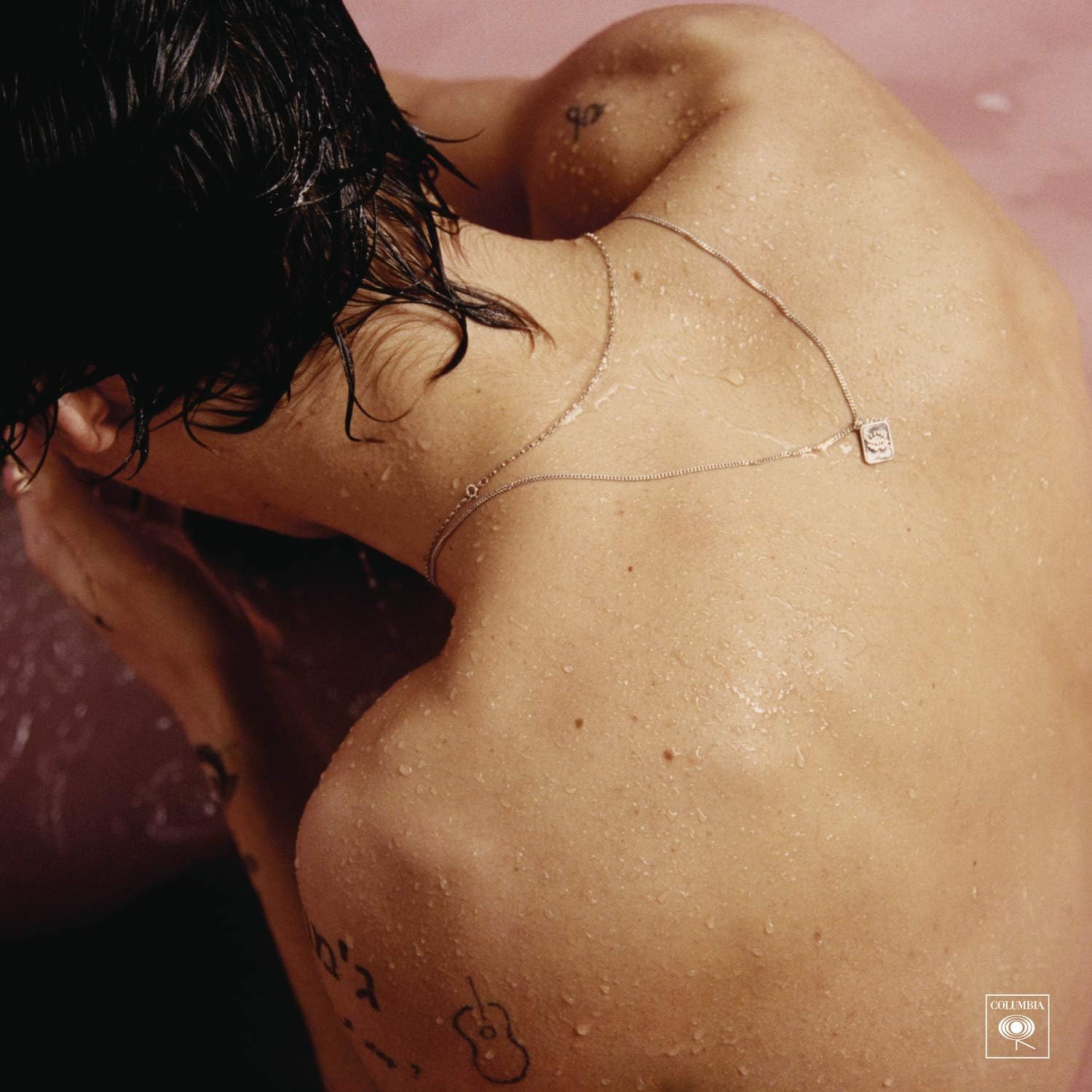 Verdict Final & Synthèse d'Expert : Harry Styles