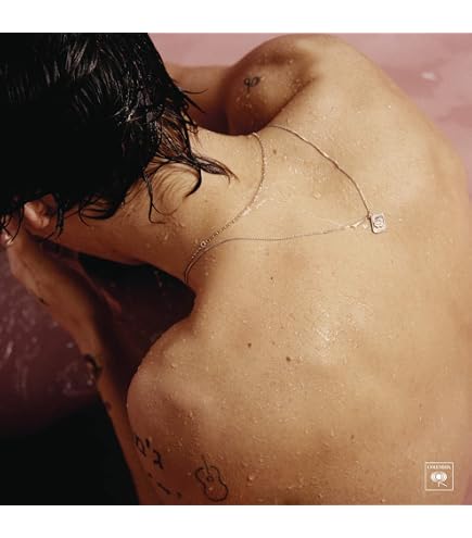100 Adesivi Harry Styles | Pacco Vinile Impermeabile | Stickers Per Laptop, Bottiglie, Skateboard | Regalo Fan