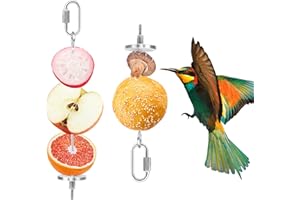 Jubaopen 2Pcs Spiedino per Pappagalli Spiedini per Uccello in Acciaio Inox Gabbia Spiedino per Uccelli Giocattoli per Animali Piccoli Cibo Verdura Frutta Carne Pane
