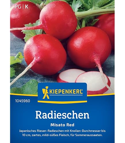 Kiepenkerl Radieschen Samen ‚Sora‘ – Schnell Wachsend, Leuchtend Rot, Für Beet & Topf