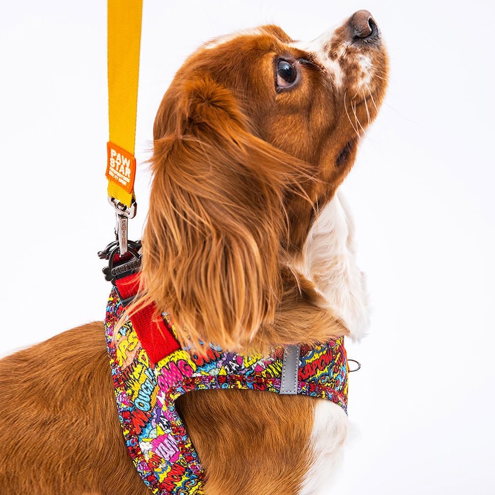 Pawstar Air-Mesh Poodle Köpek Göğüs Tasması (S) - Görsel 6
