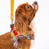 Pawstar Wow Air-mesh G&ouml;ğ&uuml;s Tasması Kedi K&ouml;pek G&ouml;ğ&uuml;s Tasması Medium