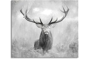 ‎PIXXPRINT Großer Hirsch im Feld Kunst Herdabdeckplatte & Spritzschutz aus Echtglas | Für Herd-Kochfelder | 60x52 cm