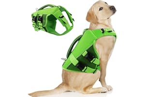 ASENKU Gilet de sauvetage pour chien – Gilet de sécurité pour animaux de compagnie pour la natation et le bateau, gilet de sauvetage pour requin avec flottaison, maillot de bain pour chiens de petite
