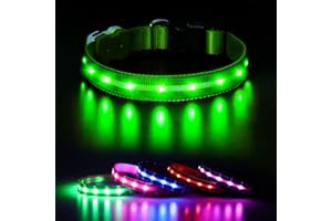 CAWJUG Light up Dog Collar, Rechargeable LED Dog Collar with 3 Glowing Modes, Adjustable Flashing Dog Collar for Small Medium Large Dogs(Green, M)