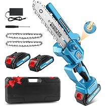 Mini Motosega A Batteria Goldsea 21V 2 Batterie &ndash; Potatura Facile Con Lubrificazione Automatica