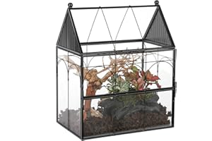 NCYP 19 x 12.5 x 23 CM Glass Enclosure with Vent Holes for Insect, Snails - Front Opening Door Small Succulent Terarium - House Shape, Home Indoor Decor, Black (No Plants)