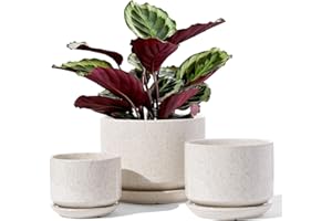 LE TAUCI Pot de Fleurs en Céramique, 11+13+17 cm, Lot de 3, Pot avec Trou de Drainage et Soucoupe, Pot d’Intérieur avec Tapis en Maille, Cadeau pour Maman/Mère, Beige