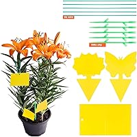 YHmall Frucht Fliegenfalle Fliegenfänger Gelbsticker Gelbtafeln Leimfallen zum Schutz vor Trauermücken Obstfliegen…