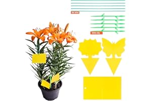 YHmall Frucht Fliegenfalle Fliegenfänger Gelbsticker Gelbtafeln thripse bekämpfung Leimfallen zum Schutz vor Trauermücken Obstfliegen MEHRWEG (30 Stück)