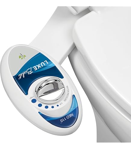 BYRISON Bidet-opzetstuk voor toilet met roestvrijstalen watertoevoer, instelbare waterdruk, koudwaterbidet, inzetstuk voor toilet, dubbel mondstuk, bidet, toiletopzetstuk, niet elektrisch