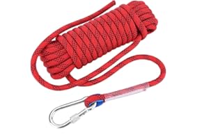 Alomejor lina wspinaczkowa o średnicy 12 mm, lina do przeżycia, solidna paracord, z karabinkiem (20 M)