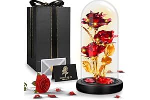 TAVADA La Bella e la Bestia, rosa eterna in vetro con LED, 1 biglietto perfetto per San Valentino, festa della mamma, matrimonio, anniversario e compleanno