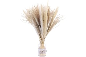 HILEYU 50 Pieces 40cm White Natural Dried Pampas Grass Artificial Boho Home Decor Natural Phragmites Communis Dried Flowers for Vases White Bouquet Flower Phragmites Wedding Holiday Party Decor 50
