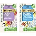 Twinings Soulful Blends Vata Bundle - Inspired by Ayurveda - Quient Mind & Peace - Herbal infusions designed to bring a sense of balance to your day - 40 Biodegradable Tea Bags