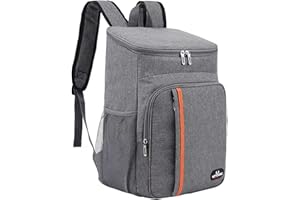 Cozlly 18L Sac à Dos Isotherme, Sac à Dos Glacière Portable, Sac à Dos Thermique Etanches pour Homme Femme Pique-Nique, Repas et Boissons, Camping, Plage, 29 x 19 x 42cm (Gris)
