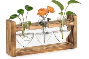 Hewory Terrarium Plante Hydroponie en Forme de Cœur - Vase en Verre avec Vintage Support en Bois - Soliflore pour Centre de Table Decoration Interieur Salon